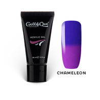 Acrylic Gel CHAMELEON 60gr