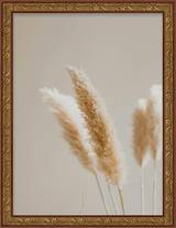 Mahogany Gold Floral Frame FW 431 - Main