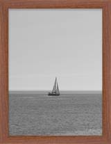 Redwood Grain Simple Frame FW 443 - Main
