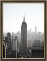 Black Gold-Edge Frame FW 445 - Main