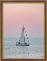 Mahogany Gold-Line Frame FW 447 - Main