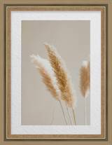 Warm Wood Double Mat Frame FW 477 - Main