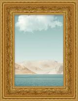 Baroque Gold Floral Frame FW 486 - Main
