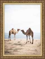Bronze Gilded Scroll Frame FW 307 - Main