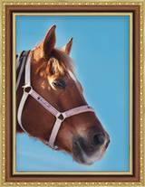 Equestrian Gold & Walnut Frame FW 045  - Main