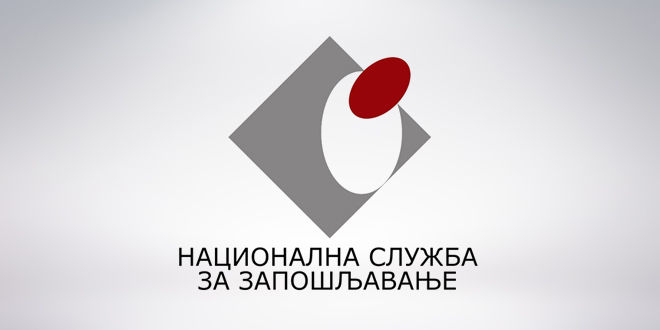 NSZ Logo NSZ Logo