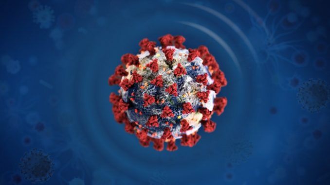 covid-19 virus