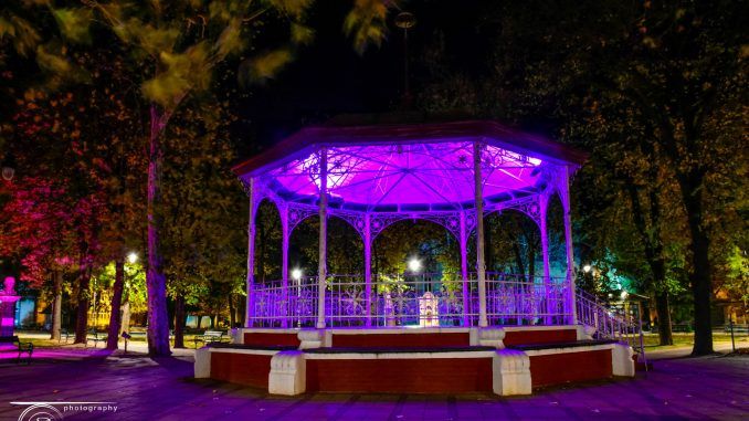sijamo ljubicasto bela crkva park sijamo ljubicasto bela crkva park