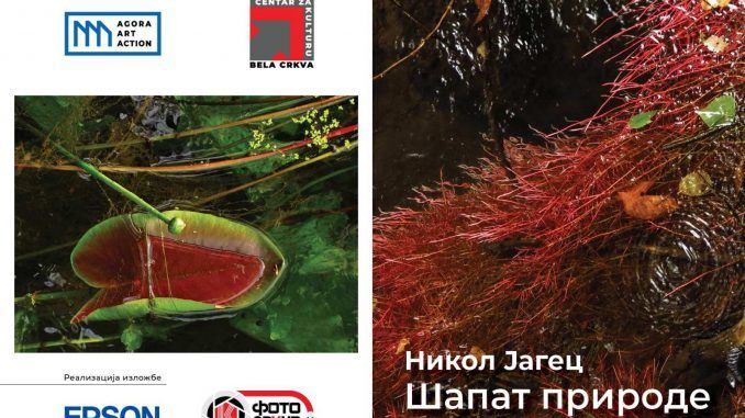 Izložba Nikol Jagec