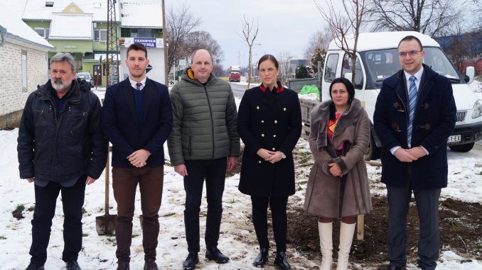 Sadnja lipa Bela Crkva ulica Sonje Marinković Sadnja lipa Bela Crkva ulica Sonje Marinković