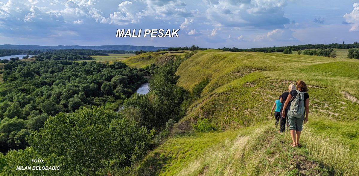 Mali Pesak