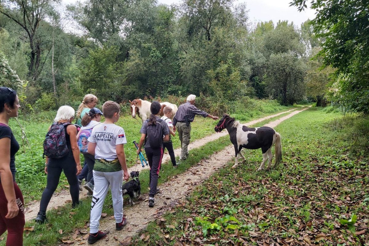 PD Karpati Dan pešačenja Bela Crkva