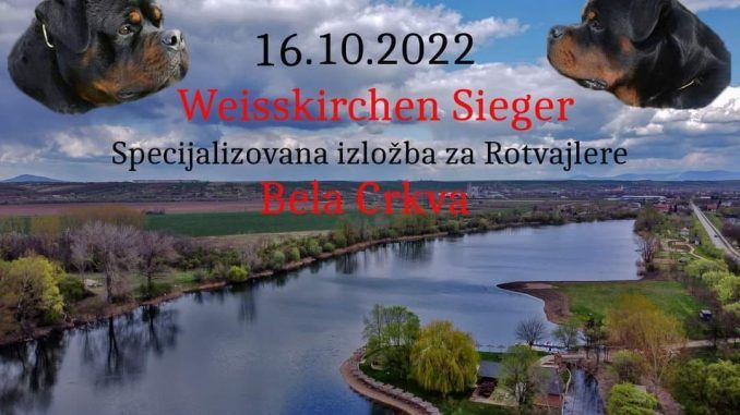 Izlozba pasa VG jezero
