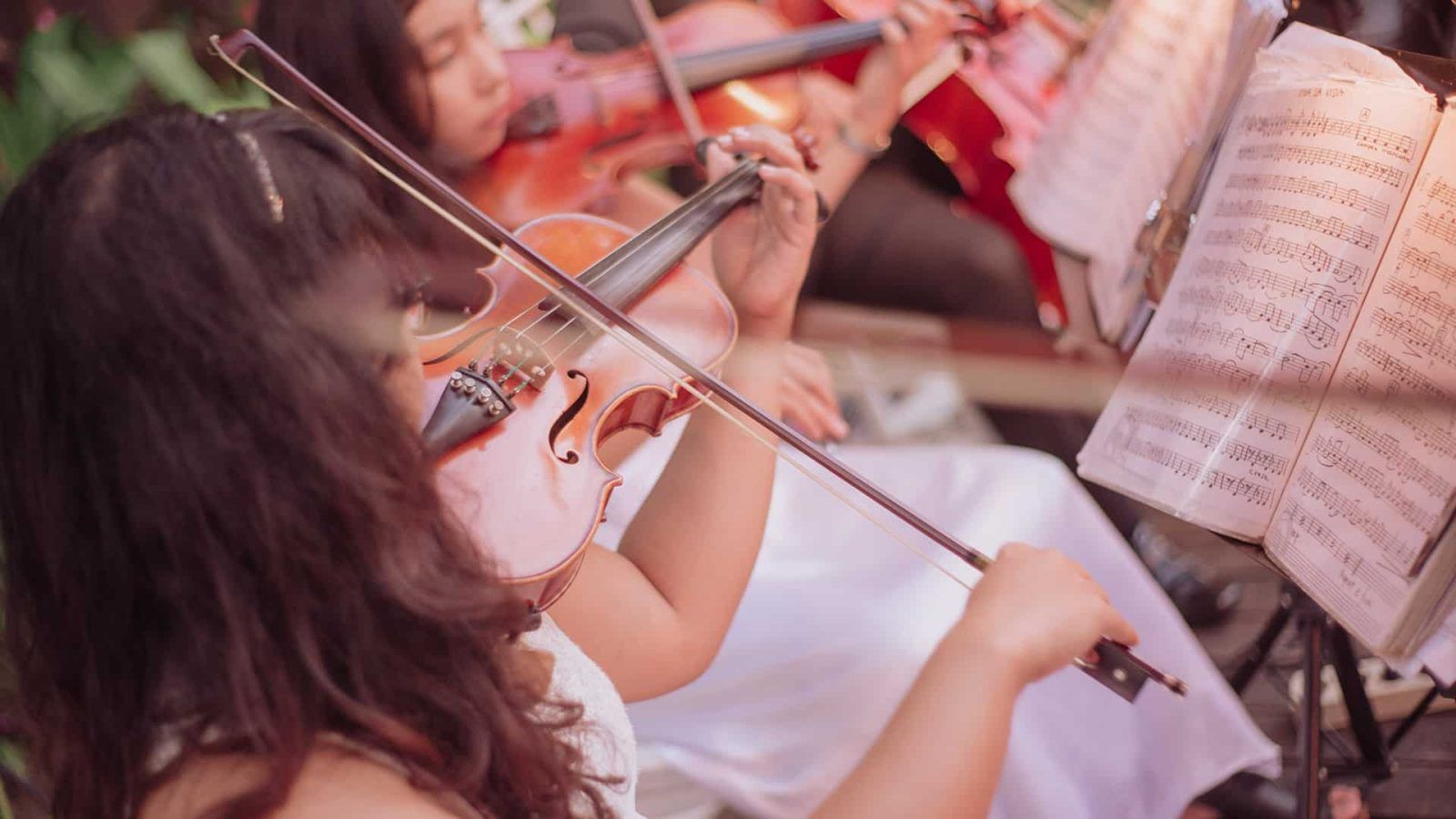 violin music entertainment