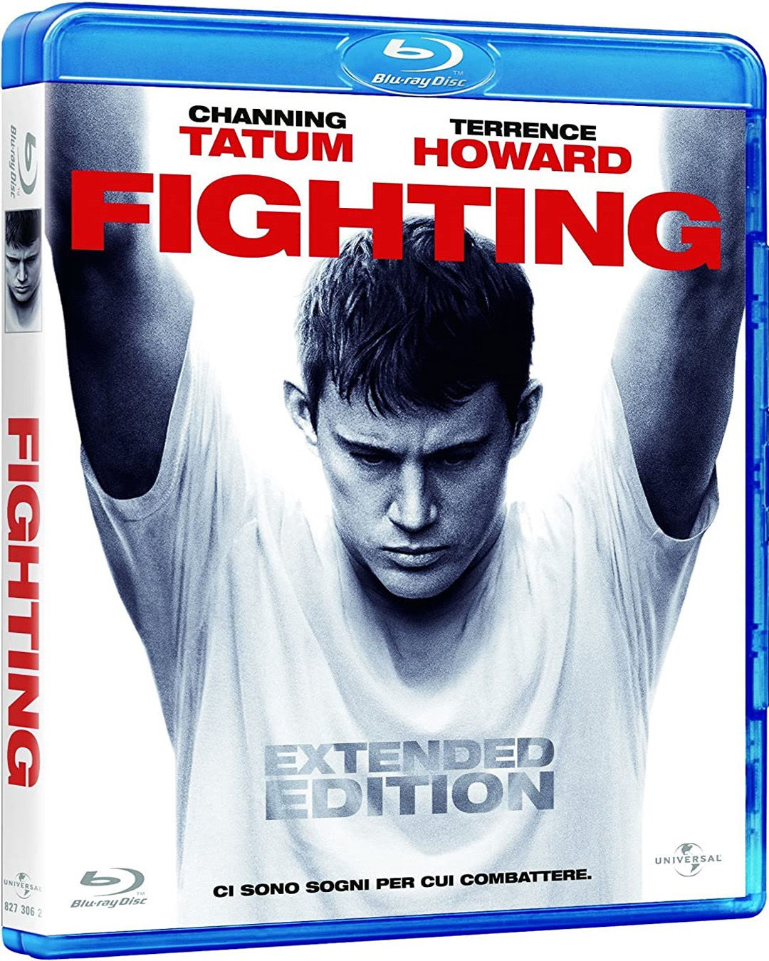 Fighting (2009) BD25 Latino