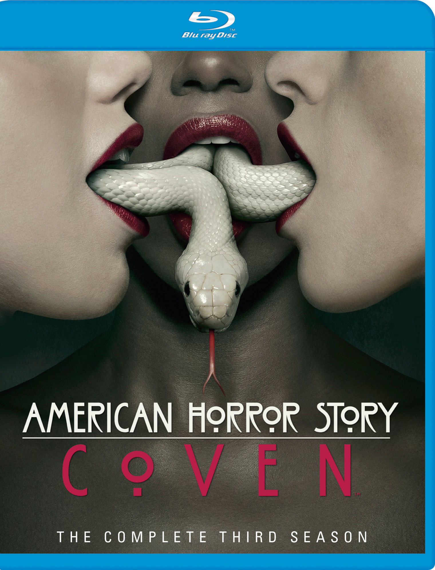 American Horror Story – Temporada 3 Coven [3xBD25] Latino