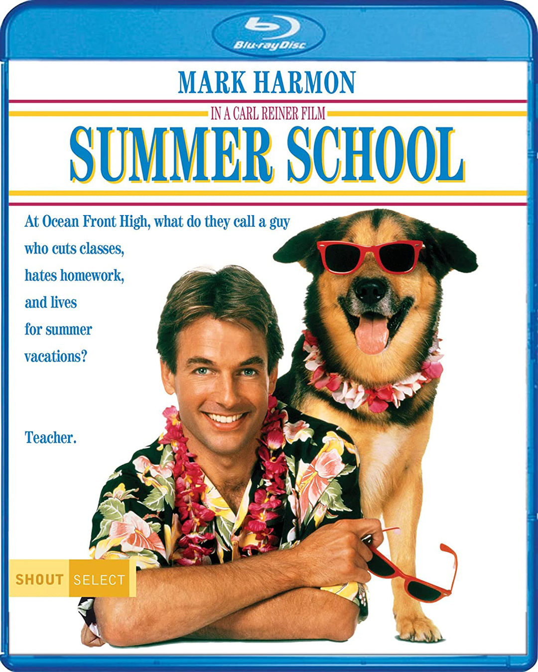 Summer School (1987) BD25 Latino