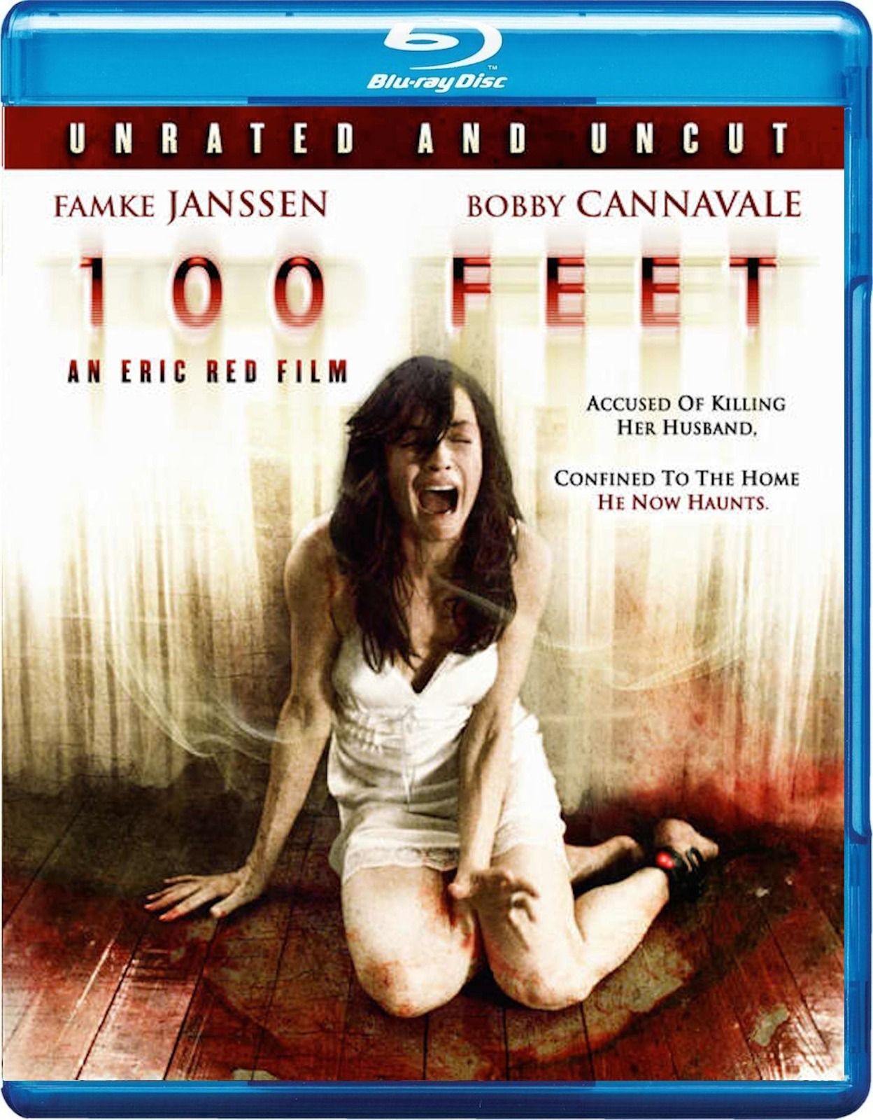 100 Feet (2008) BD25 Latino