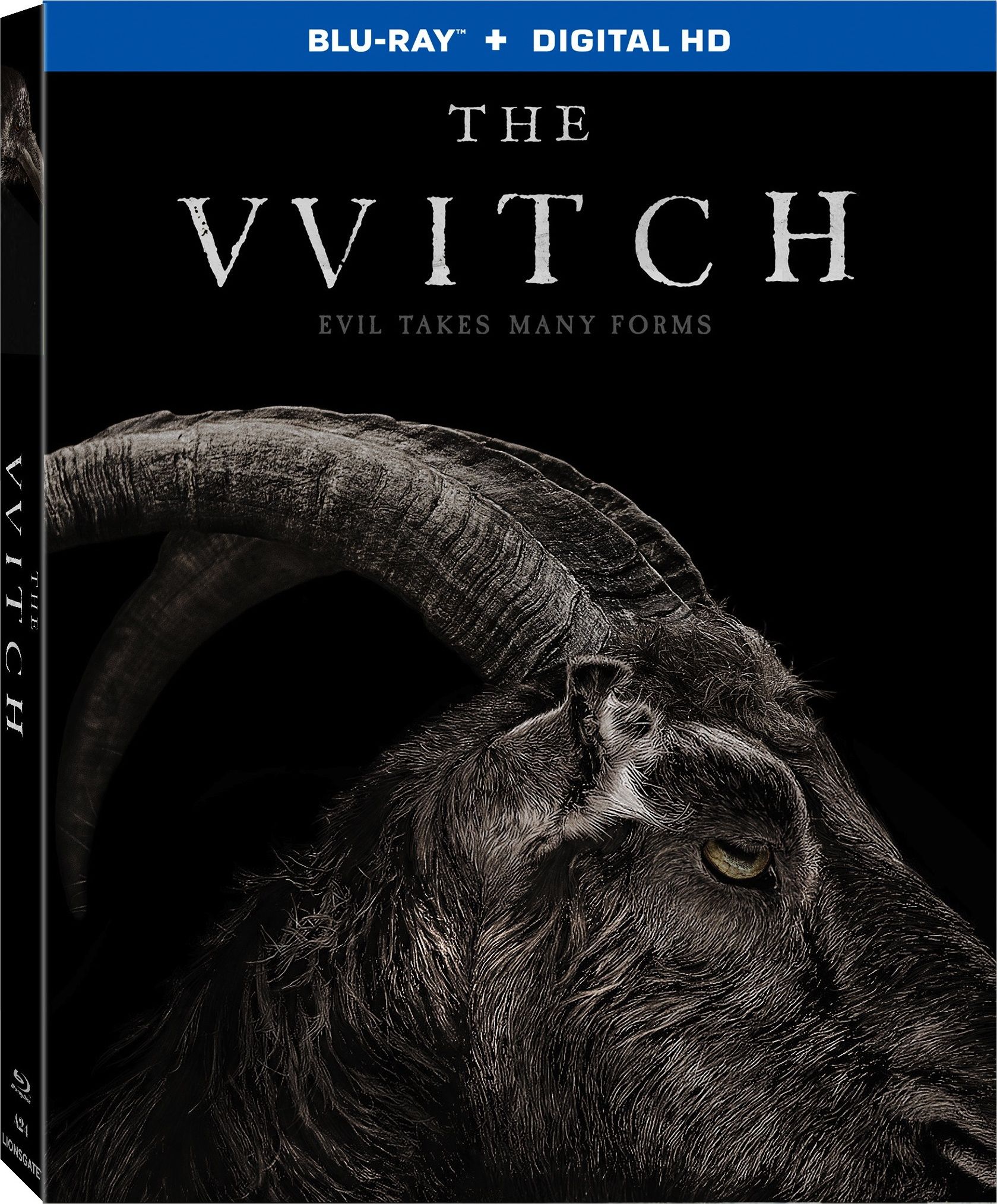 [PEDIDO] The VVitch: A New-England Folktale (2015) BD25 Latino