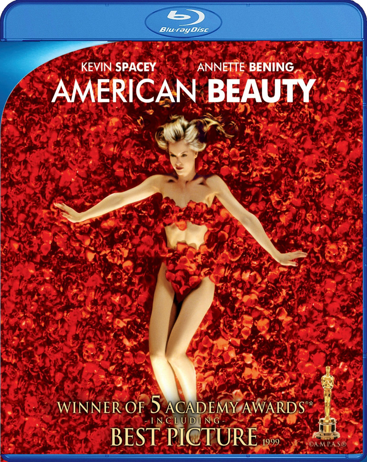 American Beauty (1999) BD25 Latino