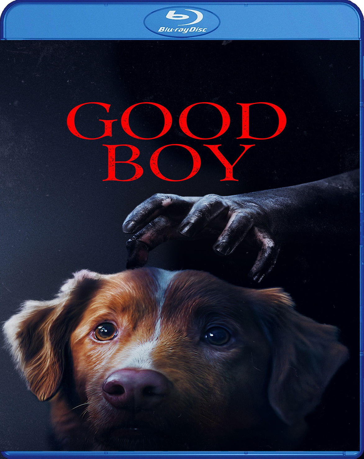 Good Boy (2025) BD25 Latino