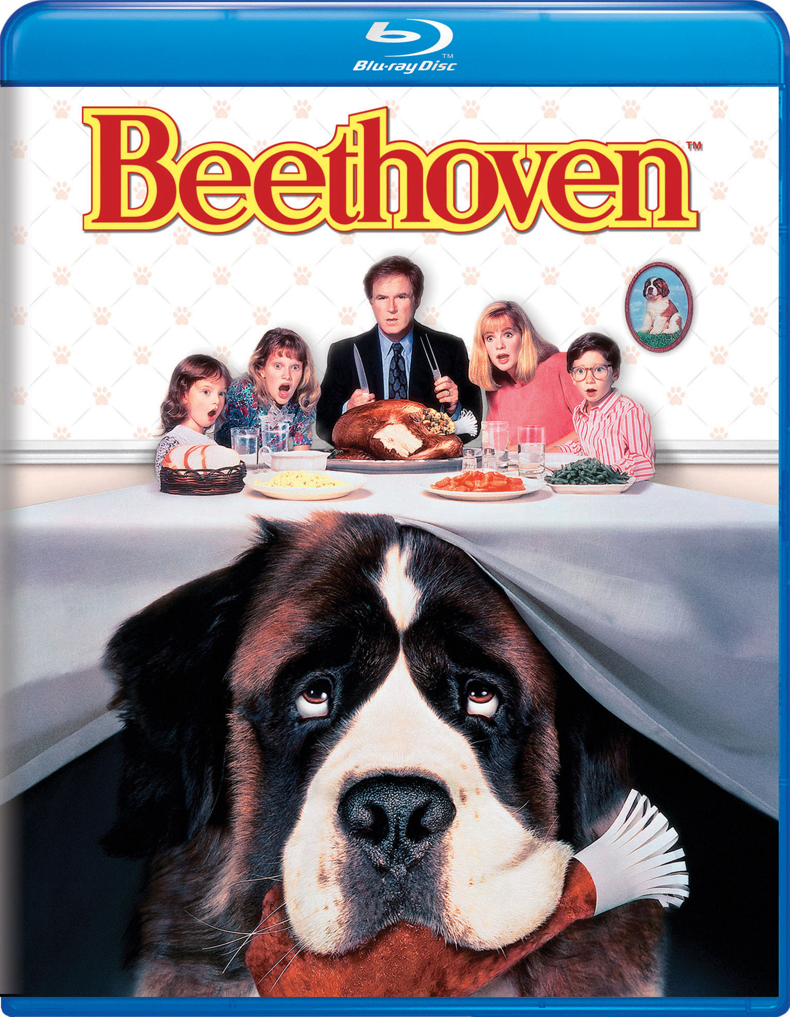 Beethoven (1992) BD25 Latino
