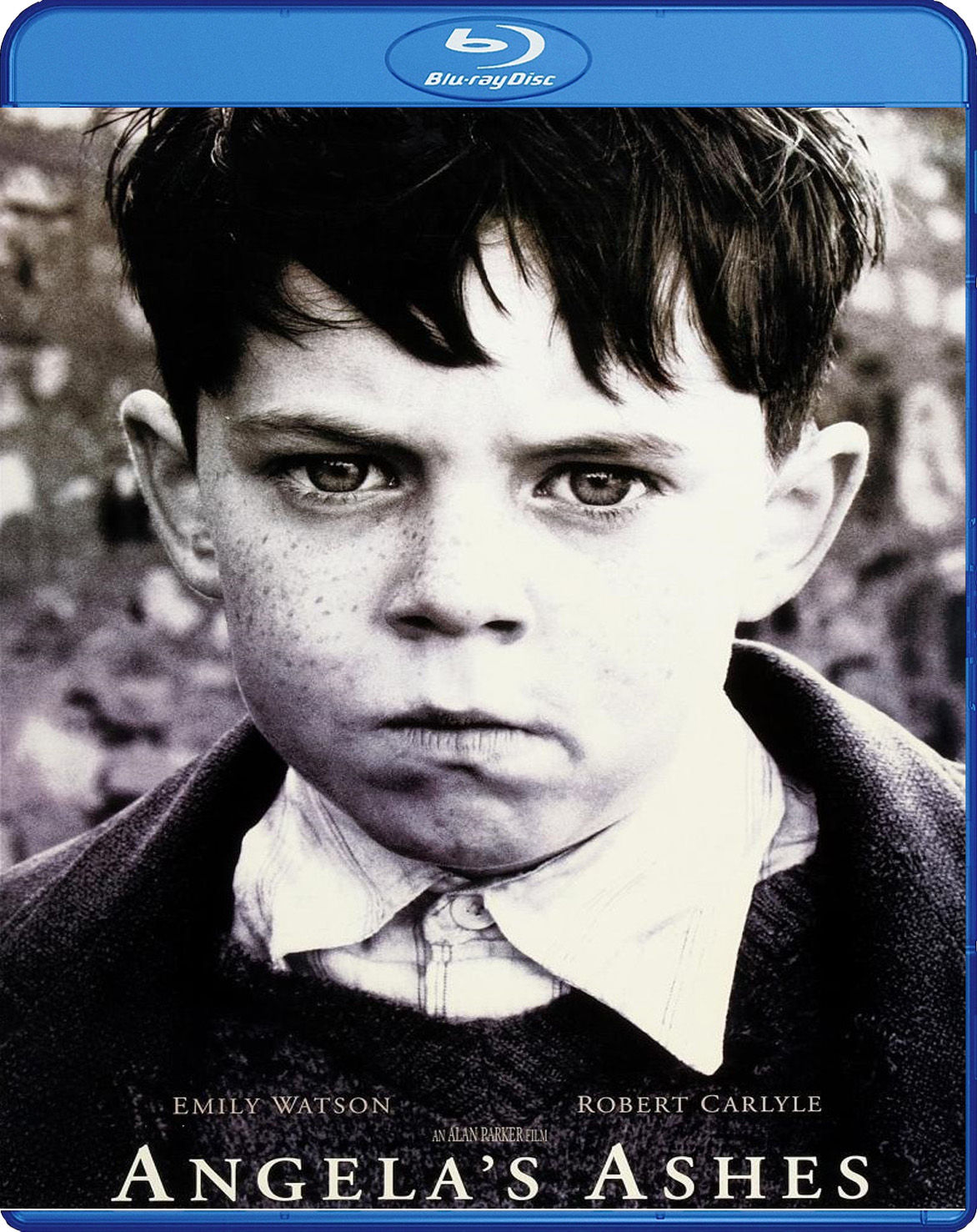 Angela’s Ashes (1999) BD25 Latino