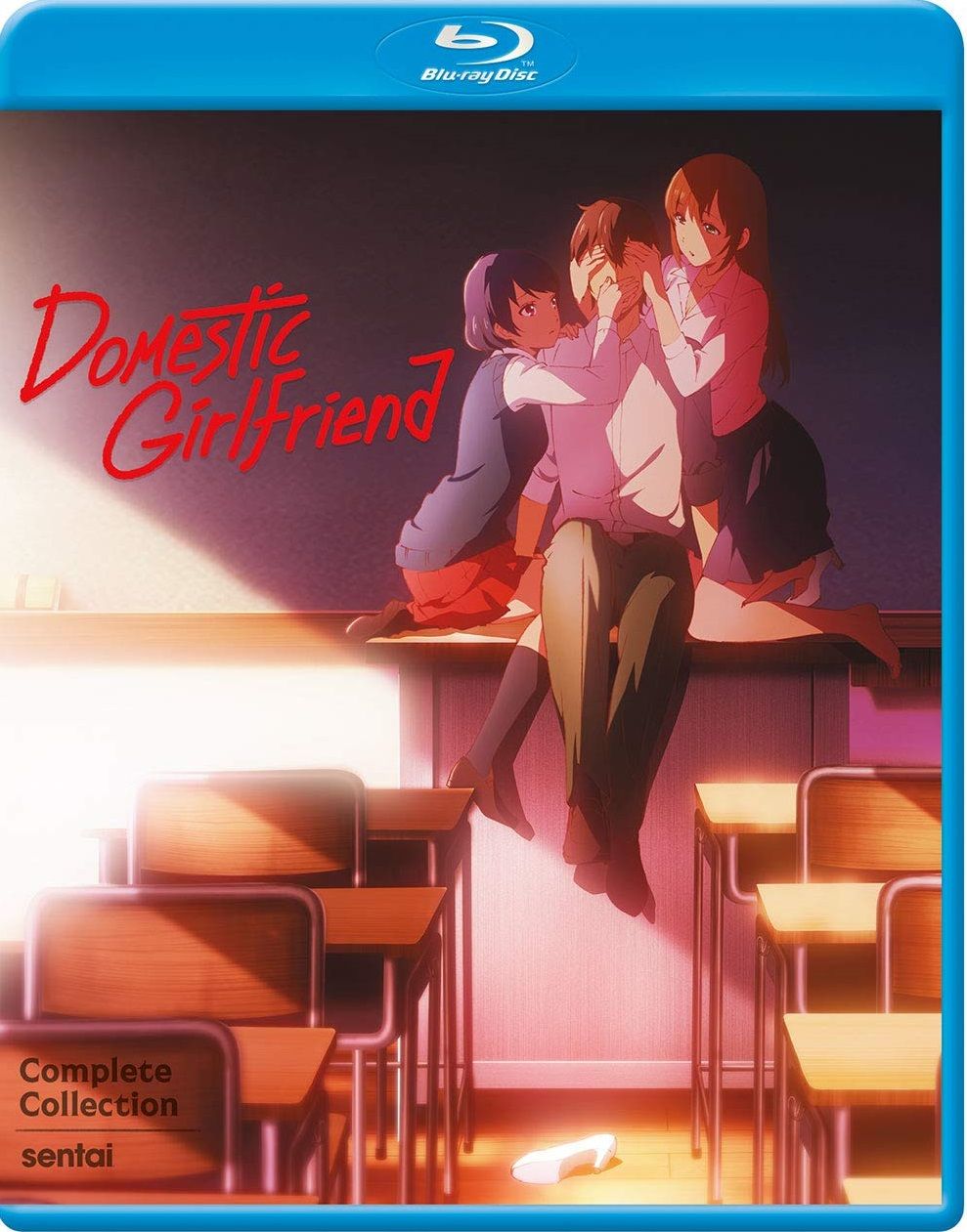 Domestic Girlfriend – Miniserie [2xBD25] Subtitulado