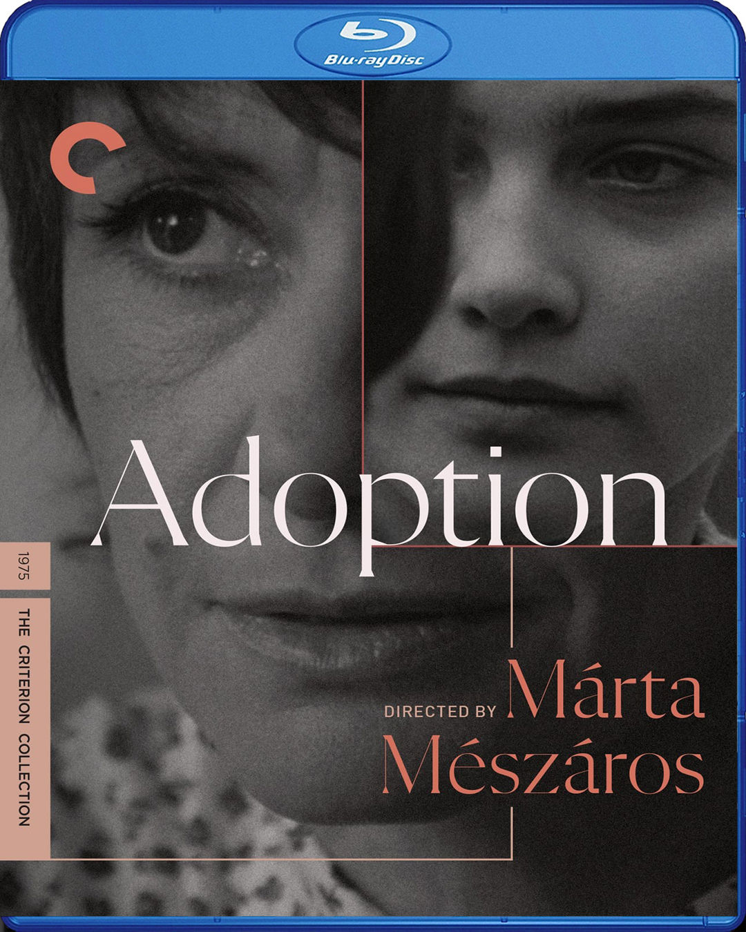 Adoption (1975) [Criterion Collection] BD25 Subtitulado