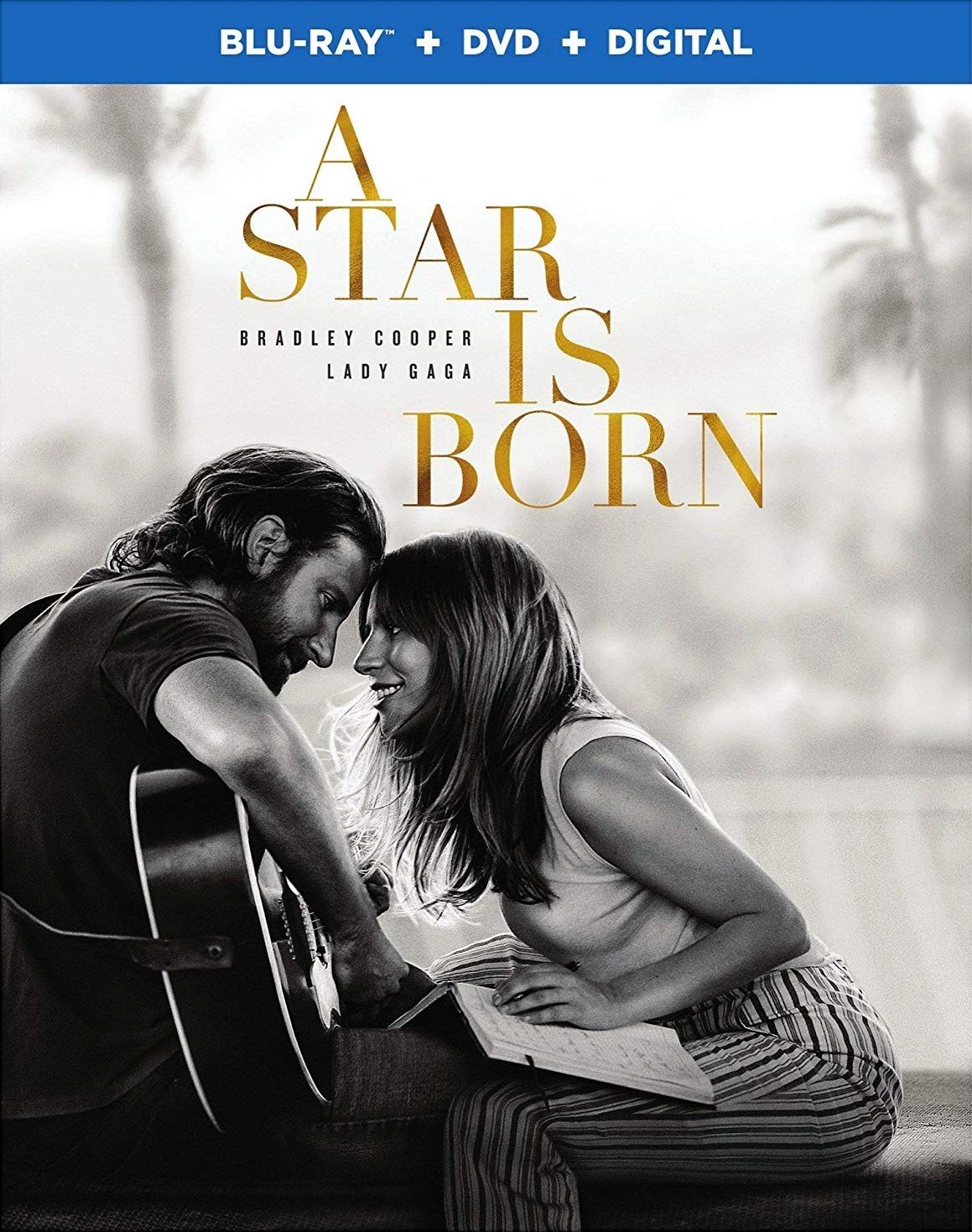 A Star Is Born (2018) BD25 Latino