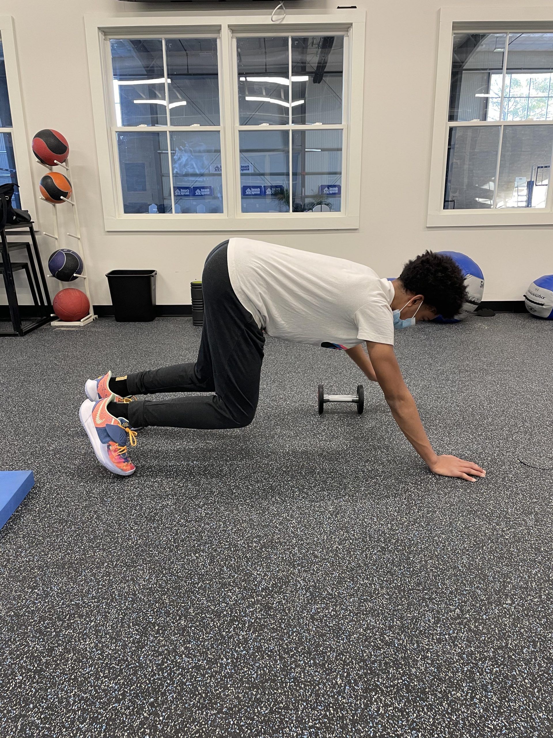 Cam Bear crawl DB drag