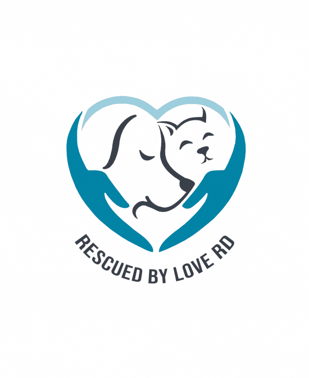 Problem illustration - Rescued by Love RD