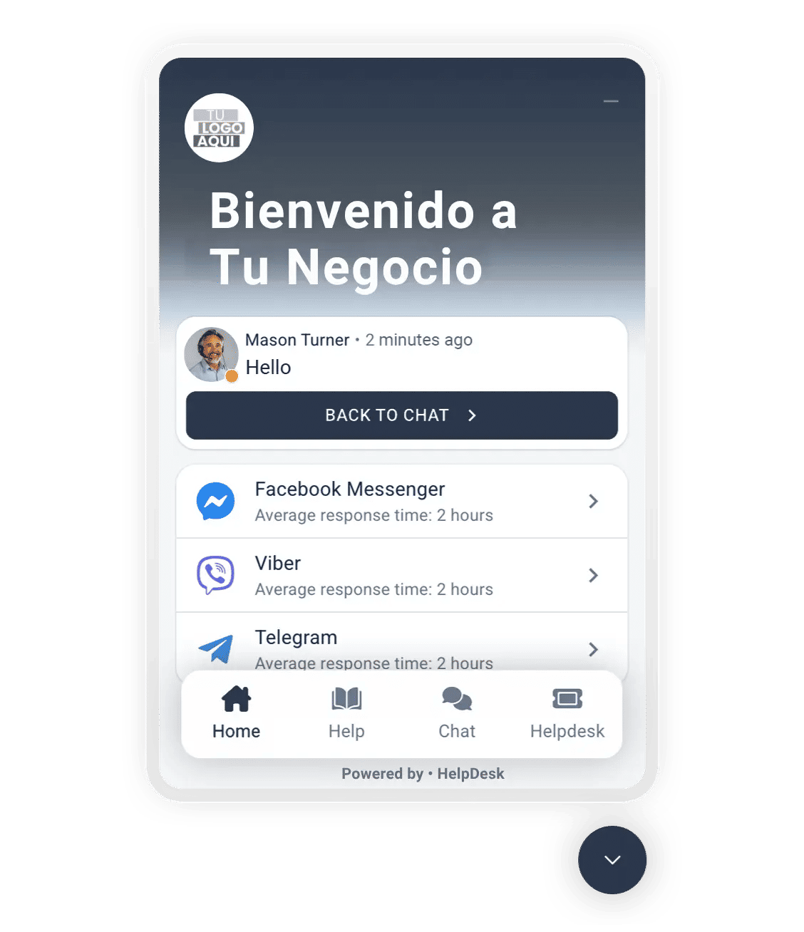Web Widget