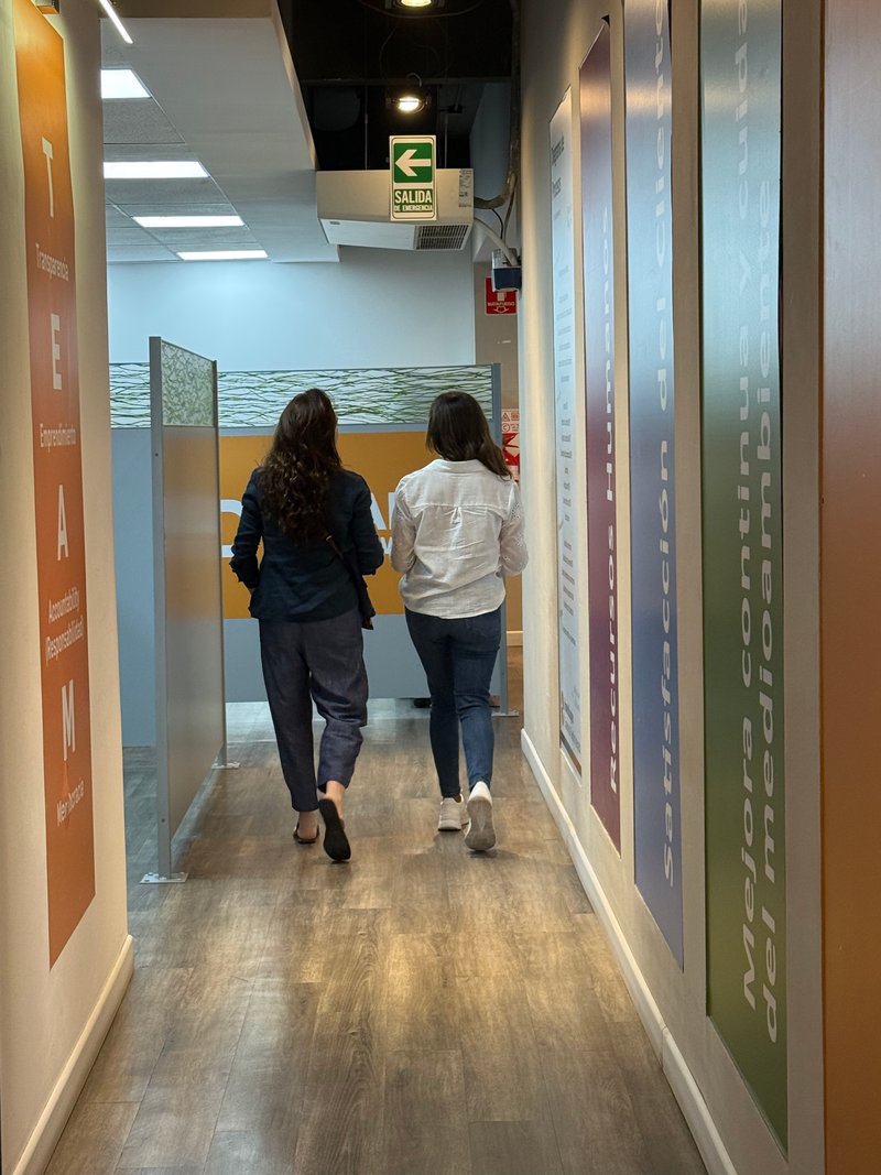 Diseñando con luz: encuentro en Hunter Douglas junto a profesionales