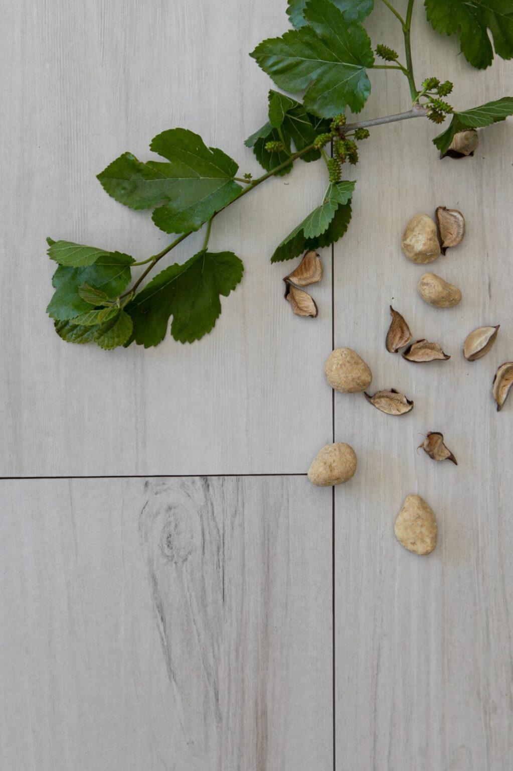 WOOD HOME COTTON