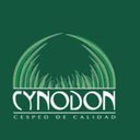 Cynodon