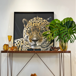 WF Arquitetura e Design