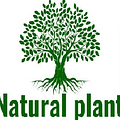 Natural Plant