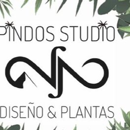 Pindos Studio