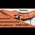 Techista y singuero
