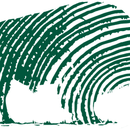 BISON AMOBLAMIENTOS