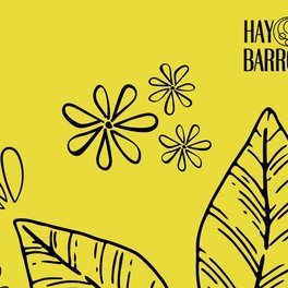 Haybarro 