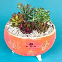 Plantery