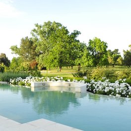 Estudio Gardenia