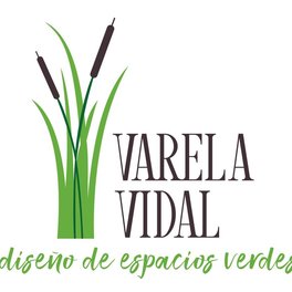 Estudio Varela Vidal  