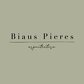Biaus Pieres Arquitectura