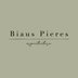 Biaus Pieres Arquitectura