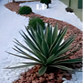 Parquizaciones y Decoraciones LP