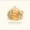 Mesh Studio