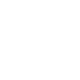VICTORIA ECHANIZ - Arquitectura y diseño